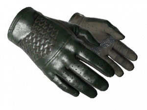 Ypng — CS:GO Glove Tiers option 48