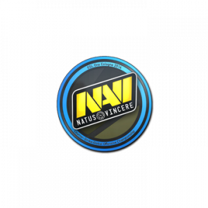 C14png — CS:GO Major Stickers (Team) option 3