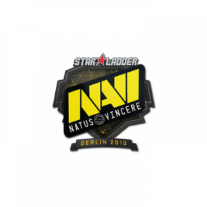 Sl19png — CS:GO Major Stickers (Team) option 13