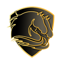 Zz1635801538dppng — CSGO Team Logo 2021 option 23