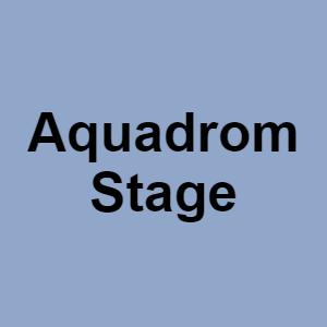 Aquadrom Stagepng — CTGP-R 1.03.1128-3 option 4