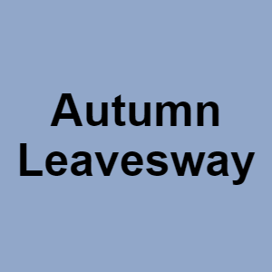 Autumn Leaveswaypng — CTGP-R 1.03.1128-3 option 9