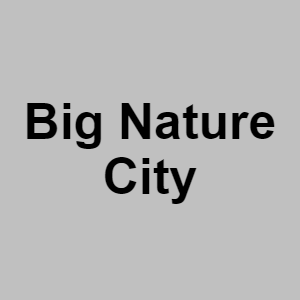 Big Nature Citypng — CTGP-R 1.03.1128-3 option 12