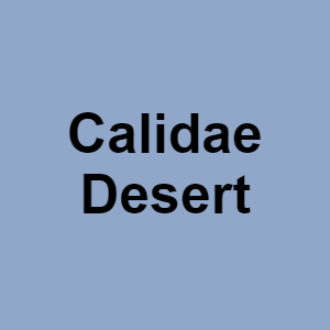Calidae Desertpng — CTGP-R 1.03.1128-3 option 15