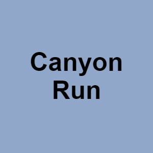 Canyon Runpng — CTGP-R 1.03.1128-3 option 18