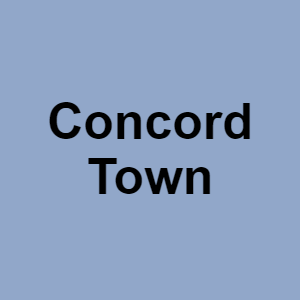 Concord Townpng — CTGP-R 1.03.1128-3 option 28