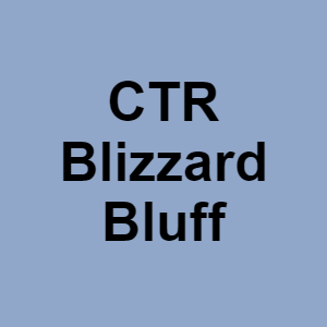 Ctr Blizzard Bluffpng — CTGP-R 1.03.1128-3 option 31