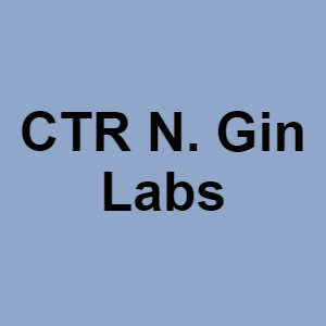 Ctr N Gin Labspng — CTGP-R 1.03.1128-3 option 33