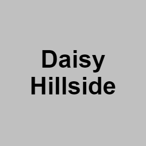 Daisy Hillsidepng — CTGP-R 1.03.1128-3 option 34