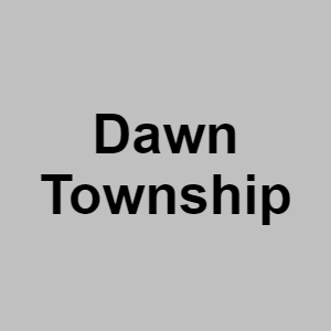 Dawn Townshippng — CTGP-R 1.03.1128-3 option 38