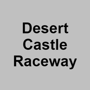 Desert Castle Racewaypng — CTGP-R 1.03.1128-3 option 40