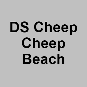 Ds Cheep Cheep Beachpng — CTGP-R 1.03.1128-3 option 50