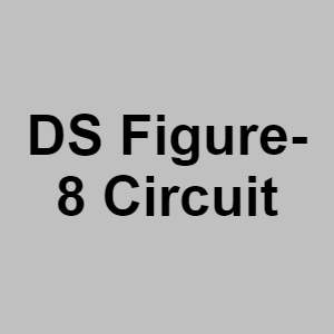 Ds Figure 8 Circuitpng — CTGP-R 1.03.1128-3 option 52