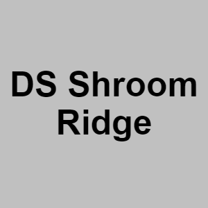 Ds Shroom Ridgepng — CTGP-R 1.03.1128-3 option 55