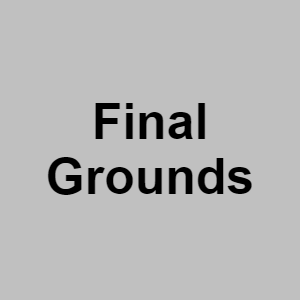 Final Groundspng — CTGP-R 1.03.1128-3 option 61