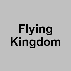 Flying Kingdompng — CTGP-R 1.03.1128-3 option 64