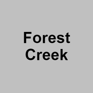 Forest Creekpng — CTGP-R 1.03.1128-3 option 65