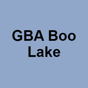 Gba Boo Lakepng — CTGP-R 1.03.1128-3 option 68
