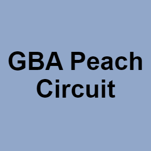 Gba Peach Circuitpng — CTGP-R 1.03.1128-3 option 78