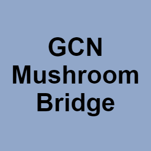 Gcn Mushroom Bridgepng — CTGP-R 1.03.1128-3 option 90