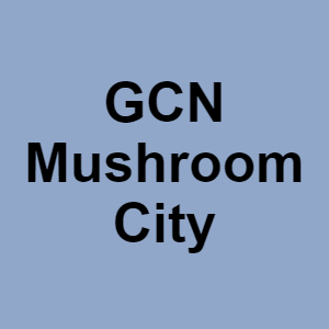 Gcn Mushroom Citypng — CTGP-R 1.03.1128-3 option 91
