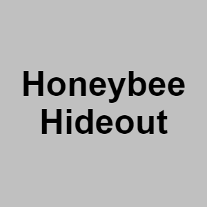 Honeybee Hideoutpng — CTGP-R 1.03.1128-3 option 103