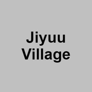 Jiyuu Villagepng — CTGP-R 1.03.1128-3 option 108