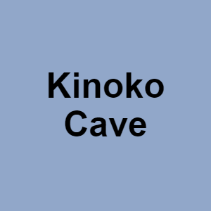 Kinoko Cavepng — CTGP-R 1.03.1128-3 option 115