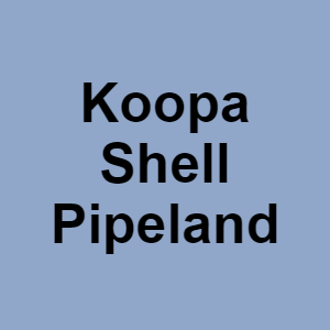 Koopa Shell Pipelandpng — CTGP-R 1.03.1128-3 option 116