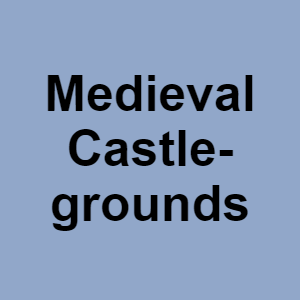 Medieval Castlegroundspng — CTGP-R 1.03.1128-3 option 128