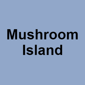 Mushroom Islandpng — CTGP-R 1.03.1128-3 option 131
