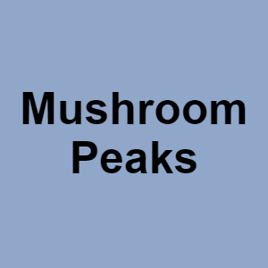 Mushroom Peakspng — CTGP-R 1.03.1128-3 option 132