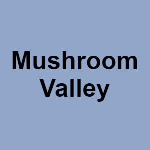 Mushroom Valleypng — CTGP-R 1.03.1128-3 option 133
