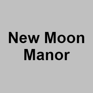 New Moon Manorpng — CTGP-R 1.03.1128-3 option 147
