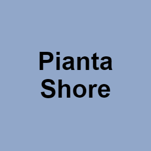 Pianta Shorepng — CTGP-R 1.03.1128-3 option 151
