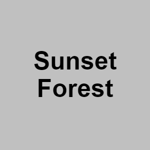 Sunset Forestpng — CTGP-R 1.03.1128-3 option 190