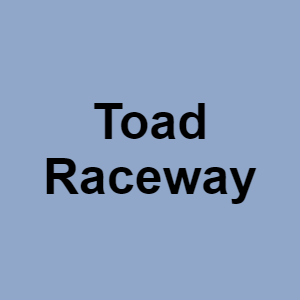 Toad Racewaypng — CTGP-R 1.03.1128-3 option 198