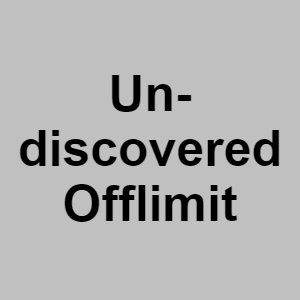 Undiscovered Offlimitpng — CTGP-R 1.03.1128-3 option 202
