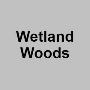 Wetland Woodspng — CTGP-R 1.03.1128-3 option 210