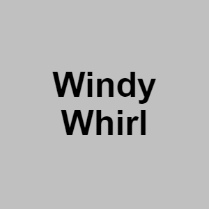 Windy Whirlpng — CTGP-R 1.03.1128-3 option 213