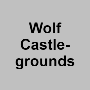 Wolf Castlegroundspng — CTGP-R 1.03.1128-3 option 214