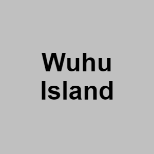 Wuhu Islandpng — CTGP-R 1.03.1128-3 option 215