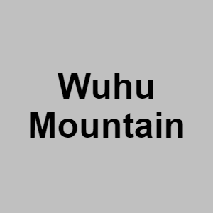 Wuhu Mountainpng — CTGP-R 1.03.1128-3 option 216
