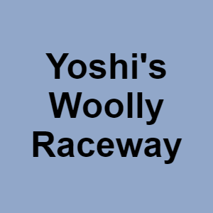 Yoshis Woolly Racewaypng — CTGP-R 1.03.1128-3 option 218