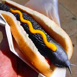 Slug Hotdogjpg — Cursed food option 17