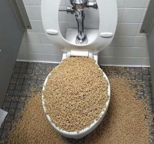 Toilet Overflowpng — Cursed food option 19