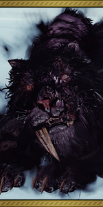 Ludandzallenthekingspetspng — Dark Soul All boss option 60