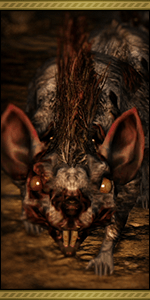 Royalratvanguardpng — Dark Soul All boss option 71