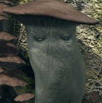 4f9463fa 1d37 4227 85ec 9b60f1f4e4edjpeg — Dark Souls NPCs option 13