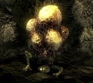 C466e131 A41c 4878 9b41 62f89bebd5eejpeg — Dark Souls NPCs option 24